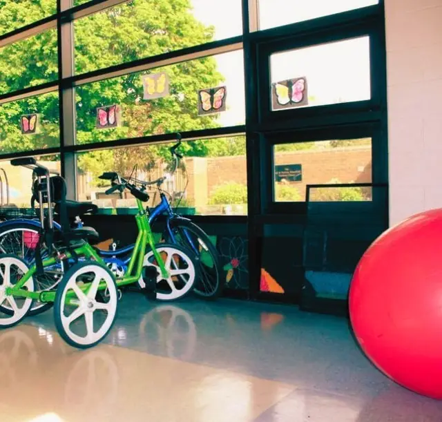 Adaptive tricycles and a red exercise ball in a sunroom with paper butterflies on the glass